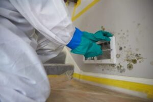 How Mold Affects Indoor Air Quality (and What You Can Do About It)